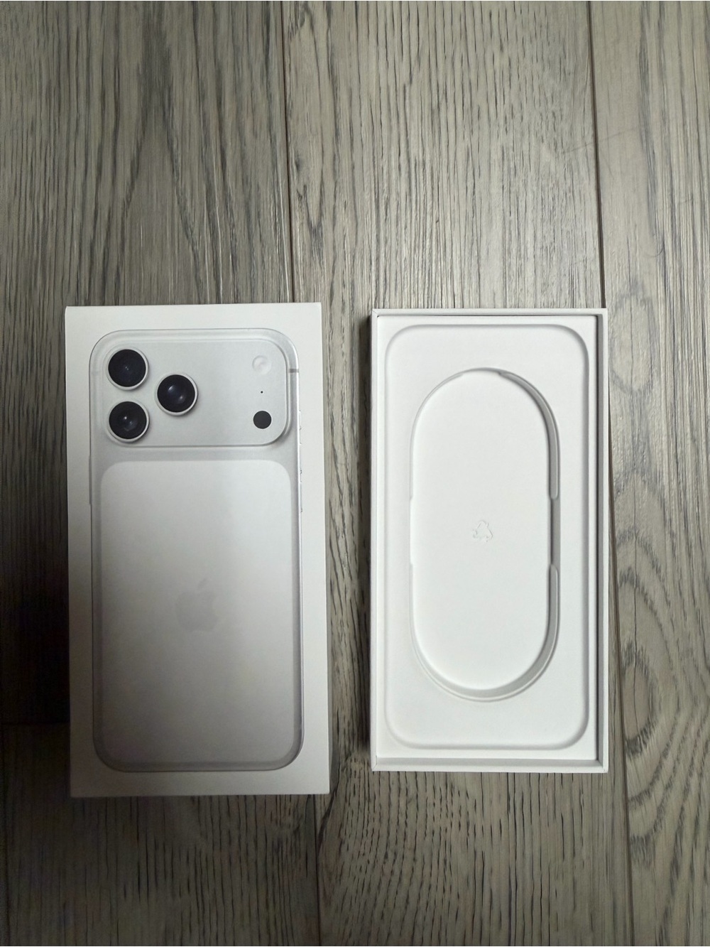 Apple I phone 17 pro max box only